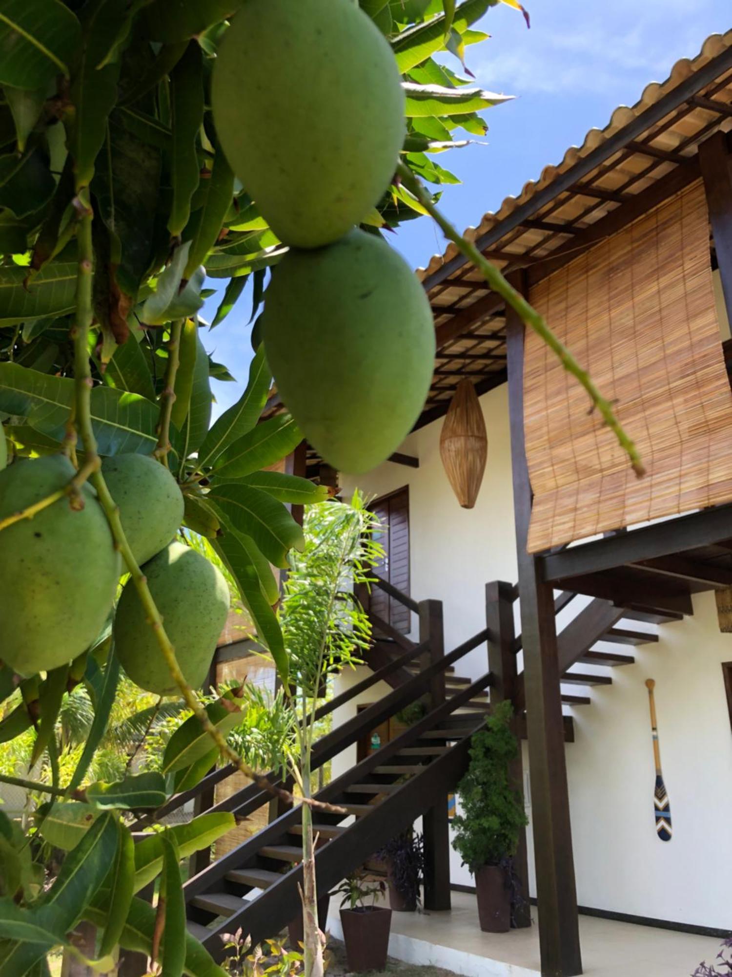 Conchas E Corais Suites Maraú Exterior foto